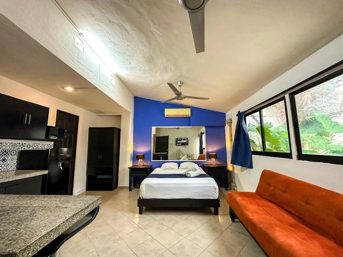 Loft Alexandria Comodo Alojamiento Con Piscina メリダ